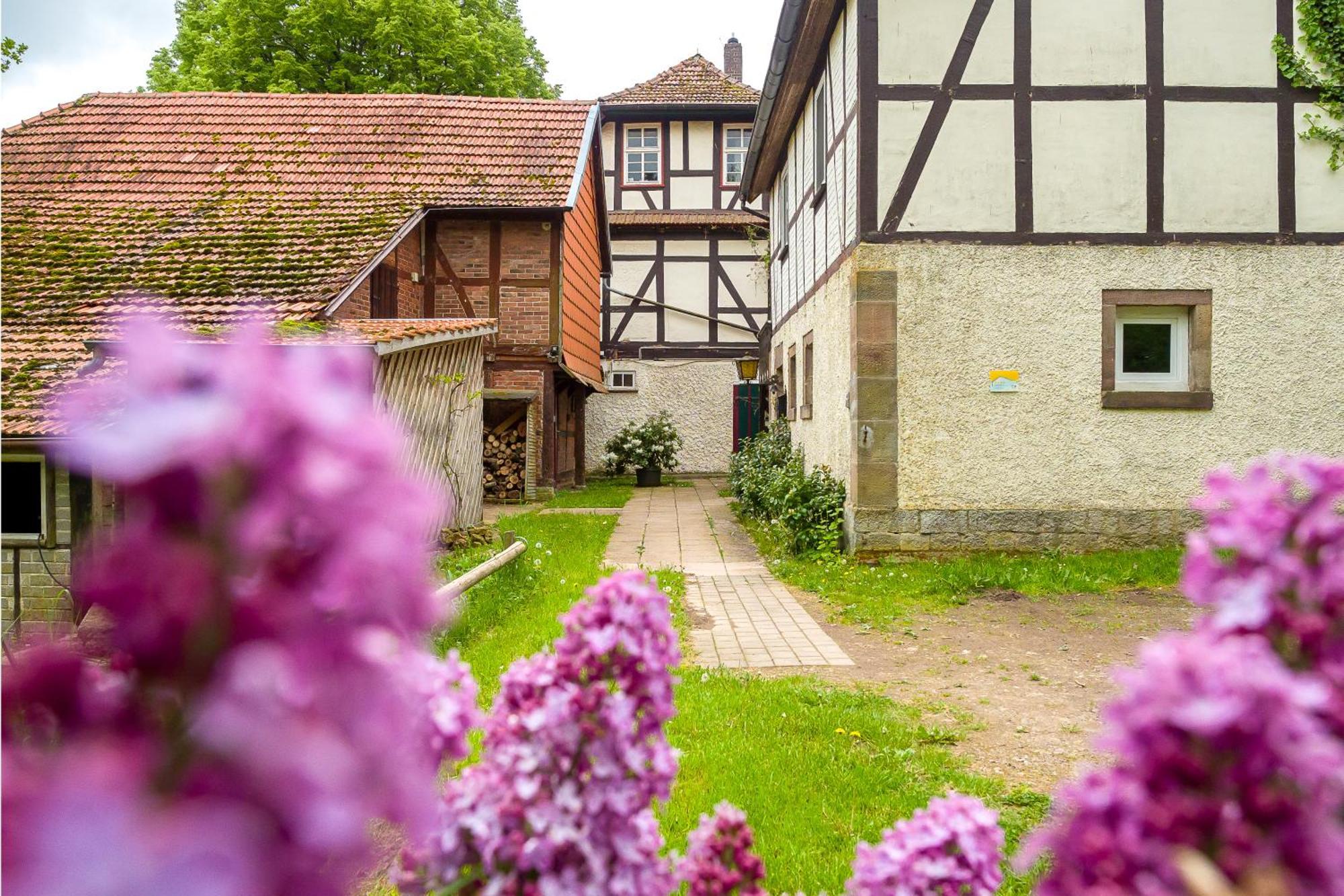 Forsthaus Halbemark บัดโซเดน-อัลเลนดอร์ฟ ภายนอก รูปภาพ